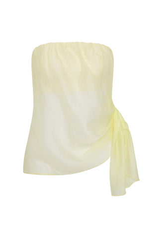 Norella Bustier Top