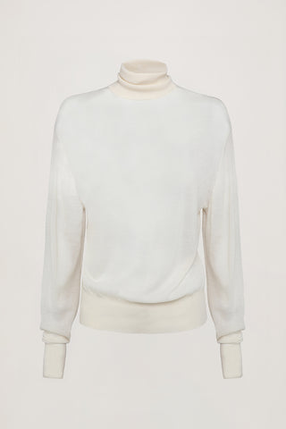 Amia Sheer Turtleneck